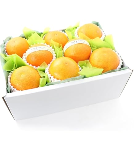 ここっこ　秀品まどんな4kg×２箱ぐるりん 楽天市場】愛媛産 ”紅まどんな” 秀品 2L〜4L 8〜12玉 約3kg【予約 12月